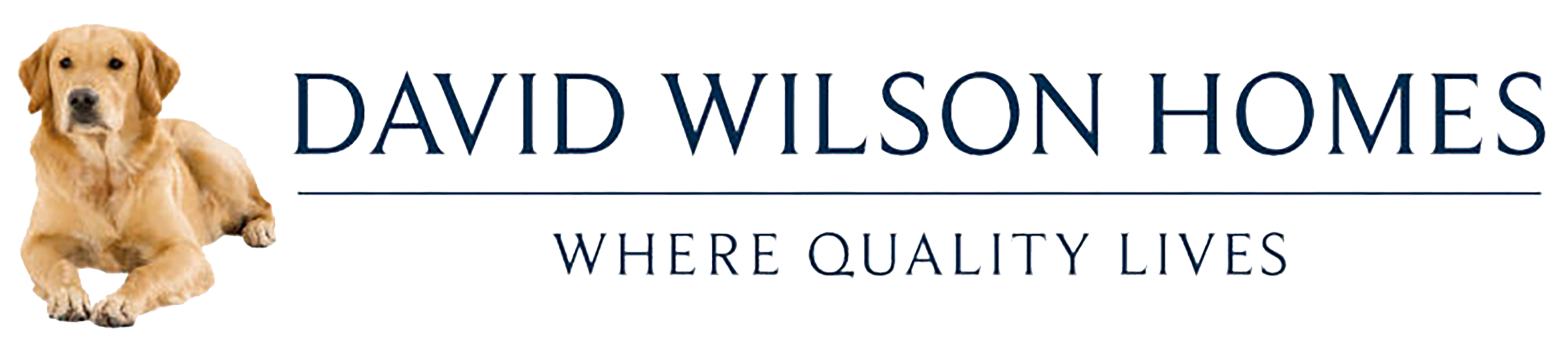 David Wilson Homes